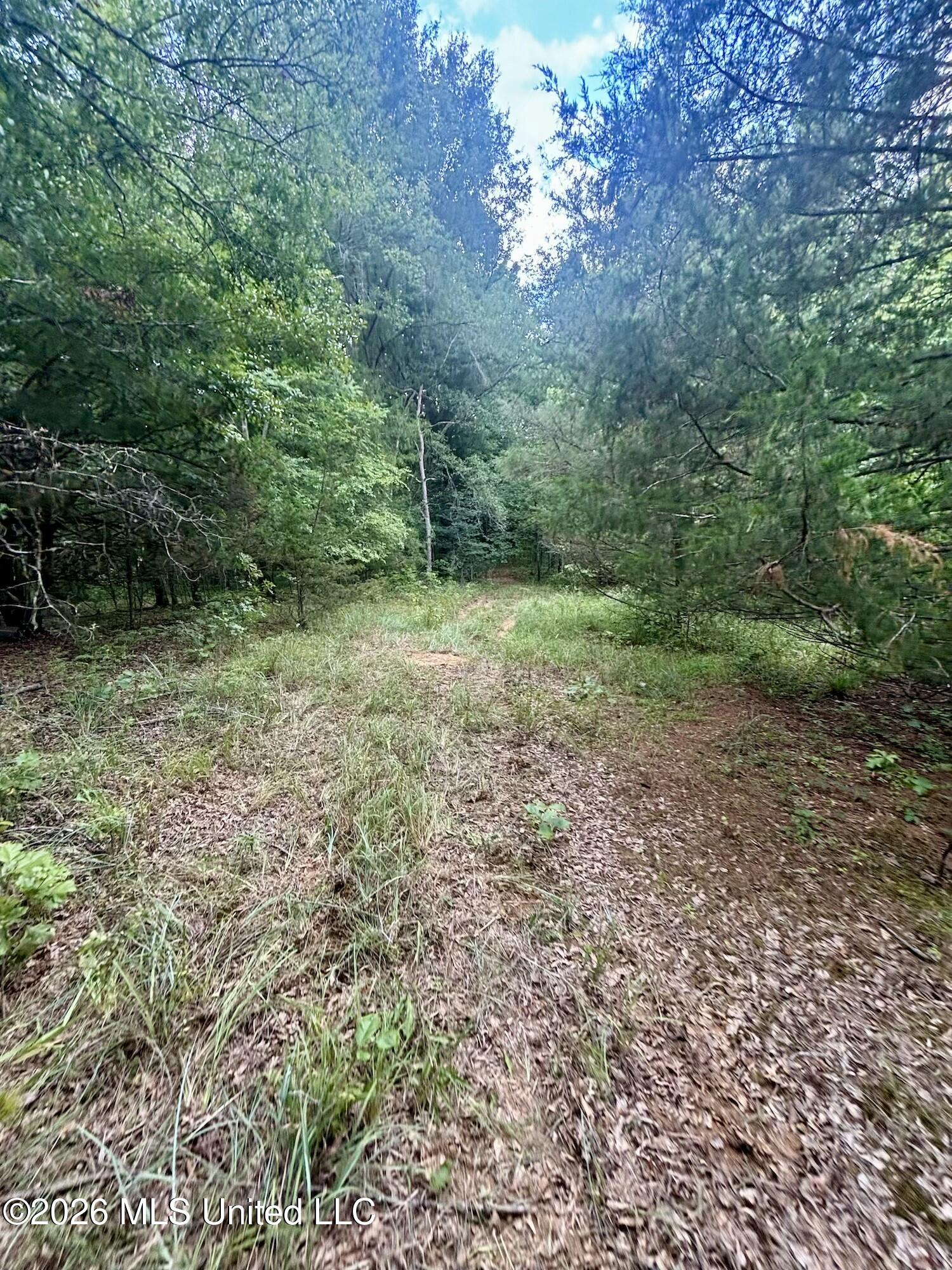 11616 Wildwood Road Property Photo 6