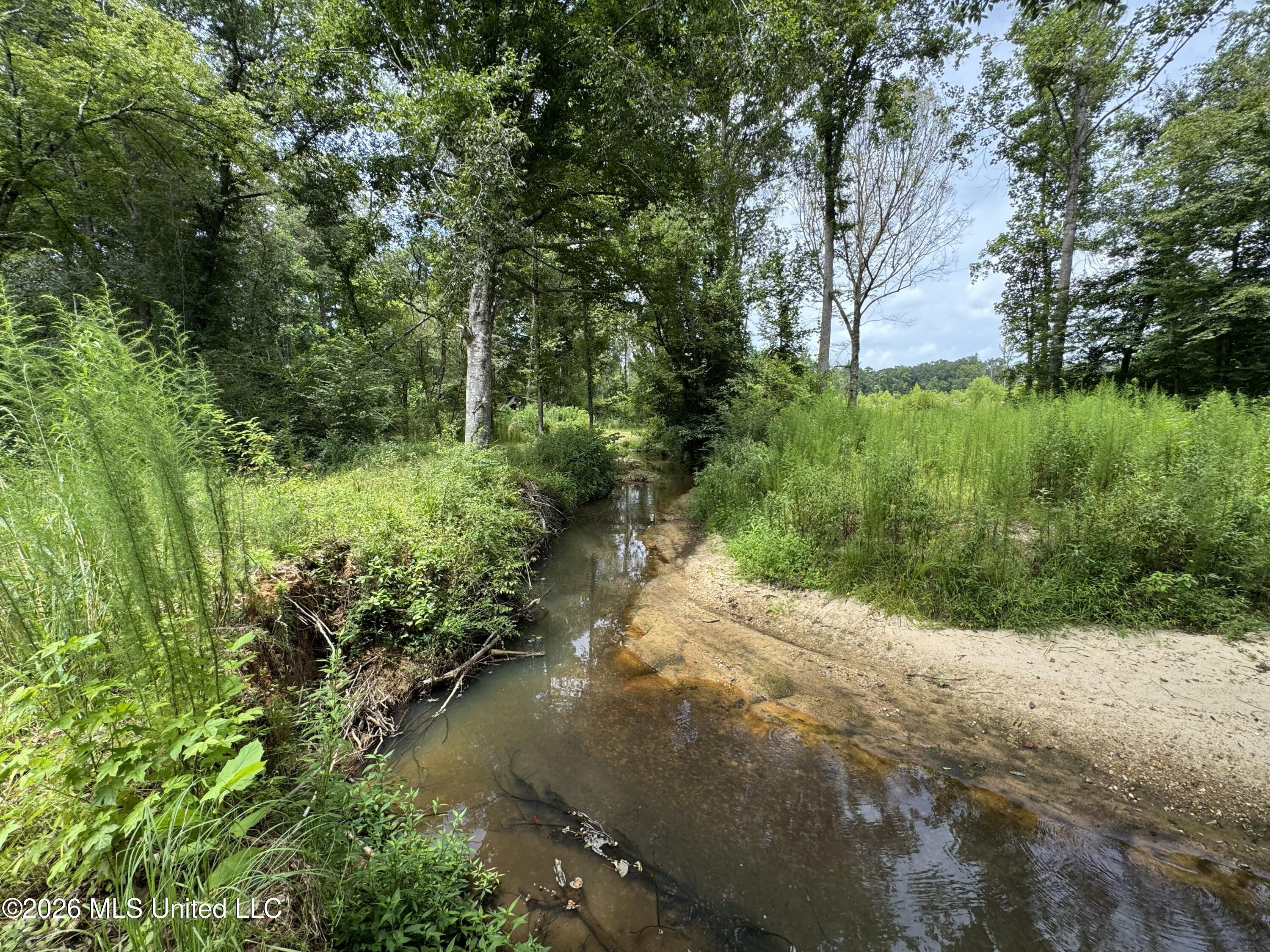 W Gallatin Street Property Photo 11