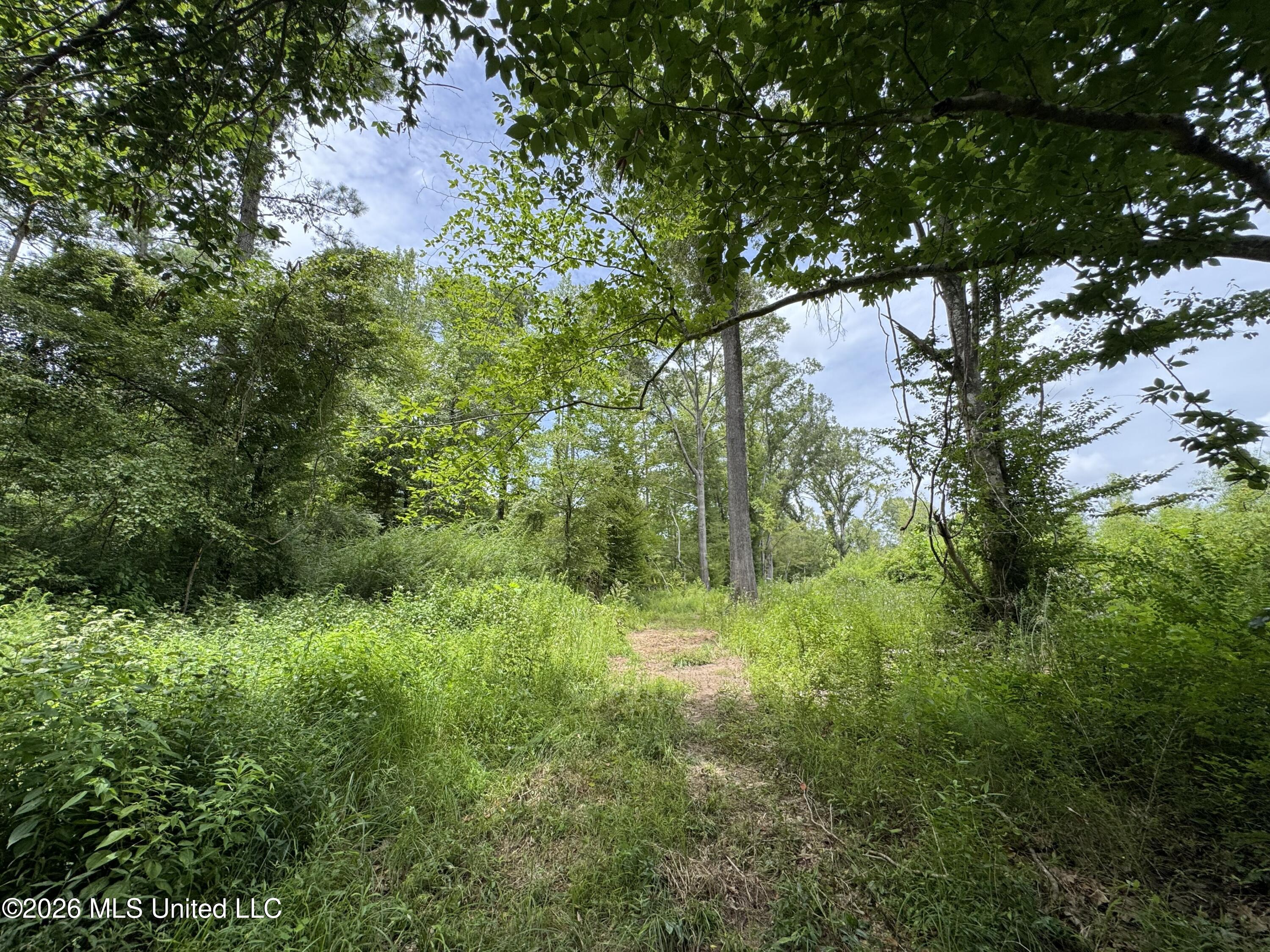 W Gallatin Street Property Photo 18