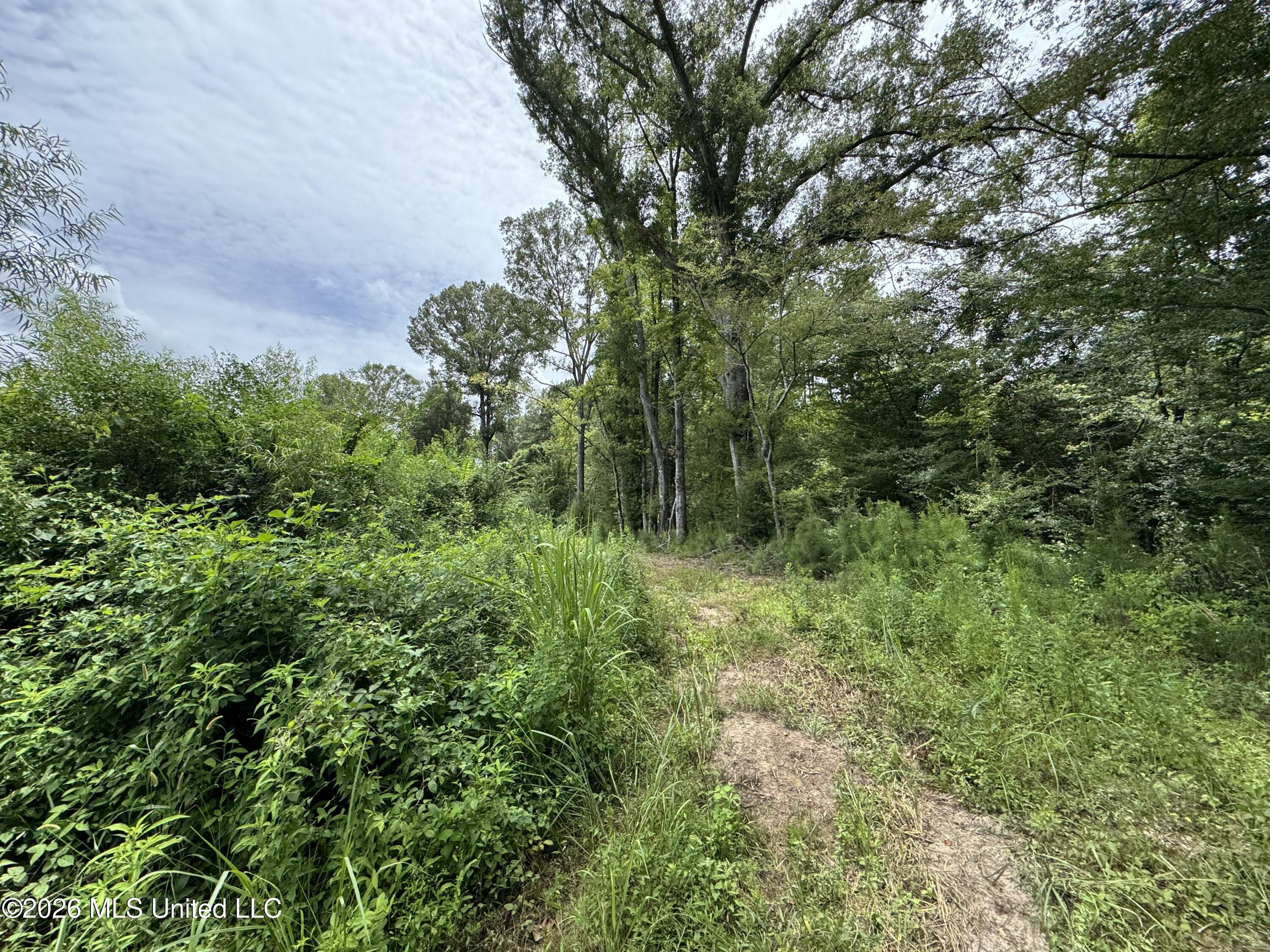 W Gallatin Street Property Photo 20