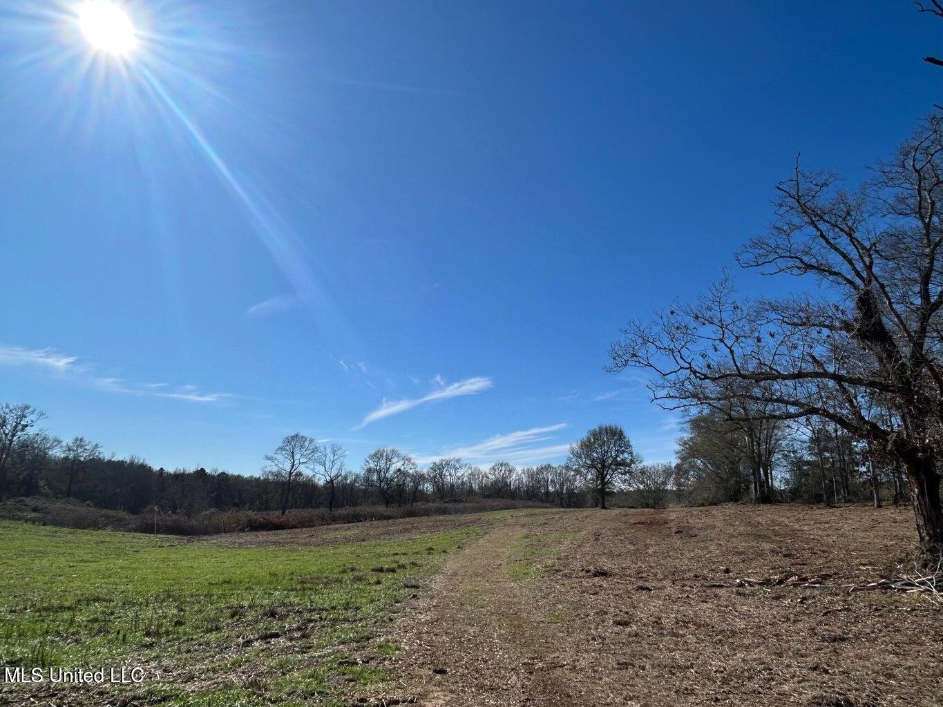 00 Biltmore Road Property Photo 2