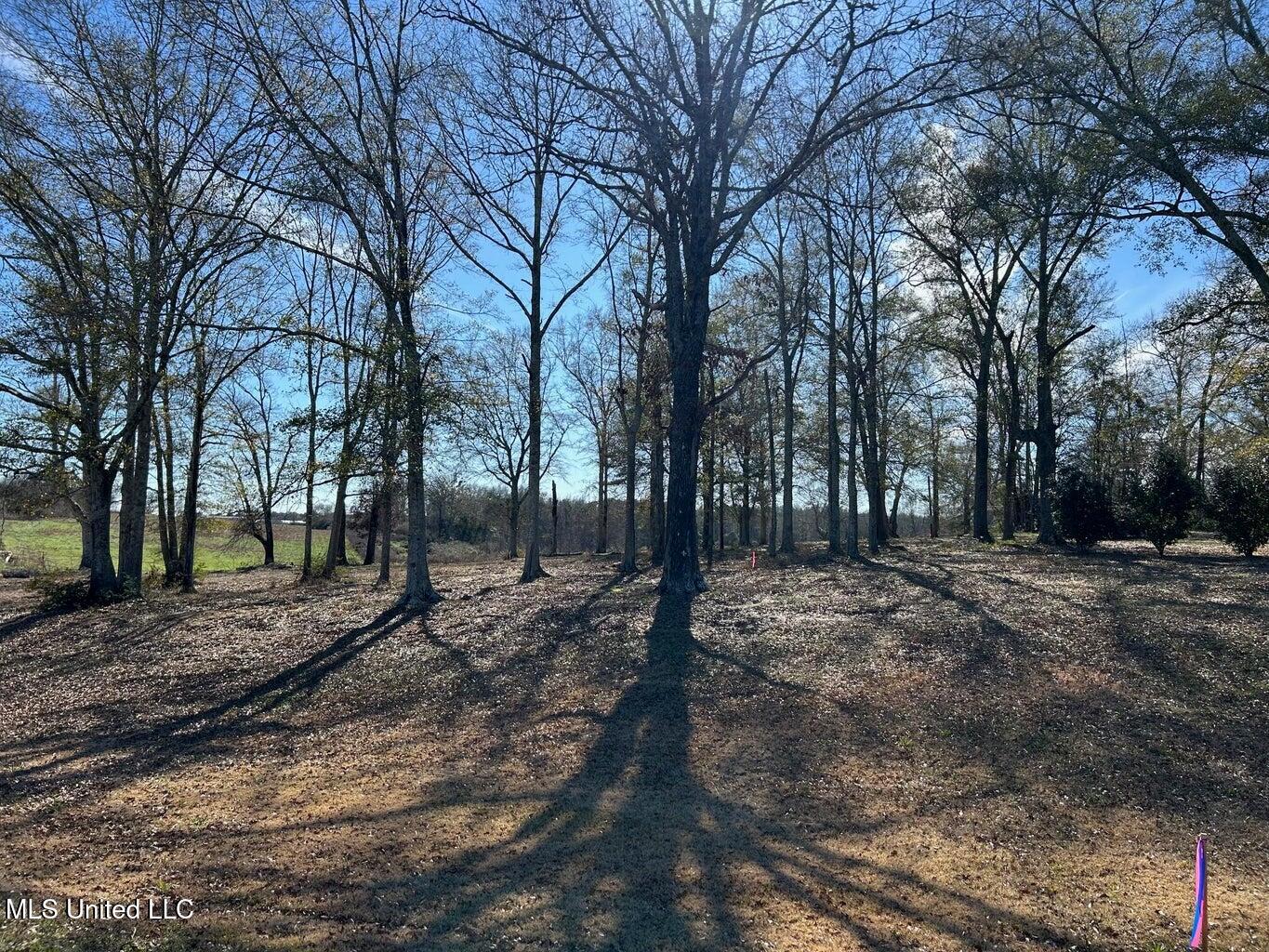 00 Biltmore Road Property Photo 3
