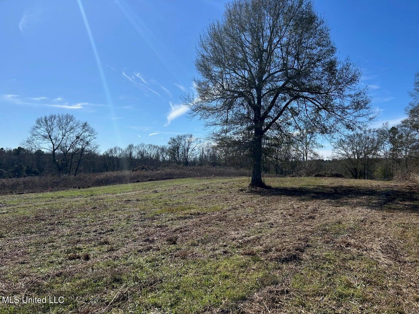 00 Biltmore Road Property Photo 8