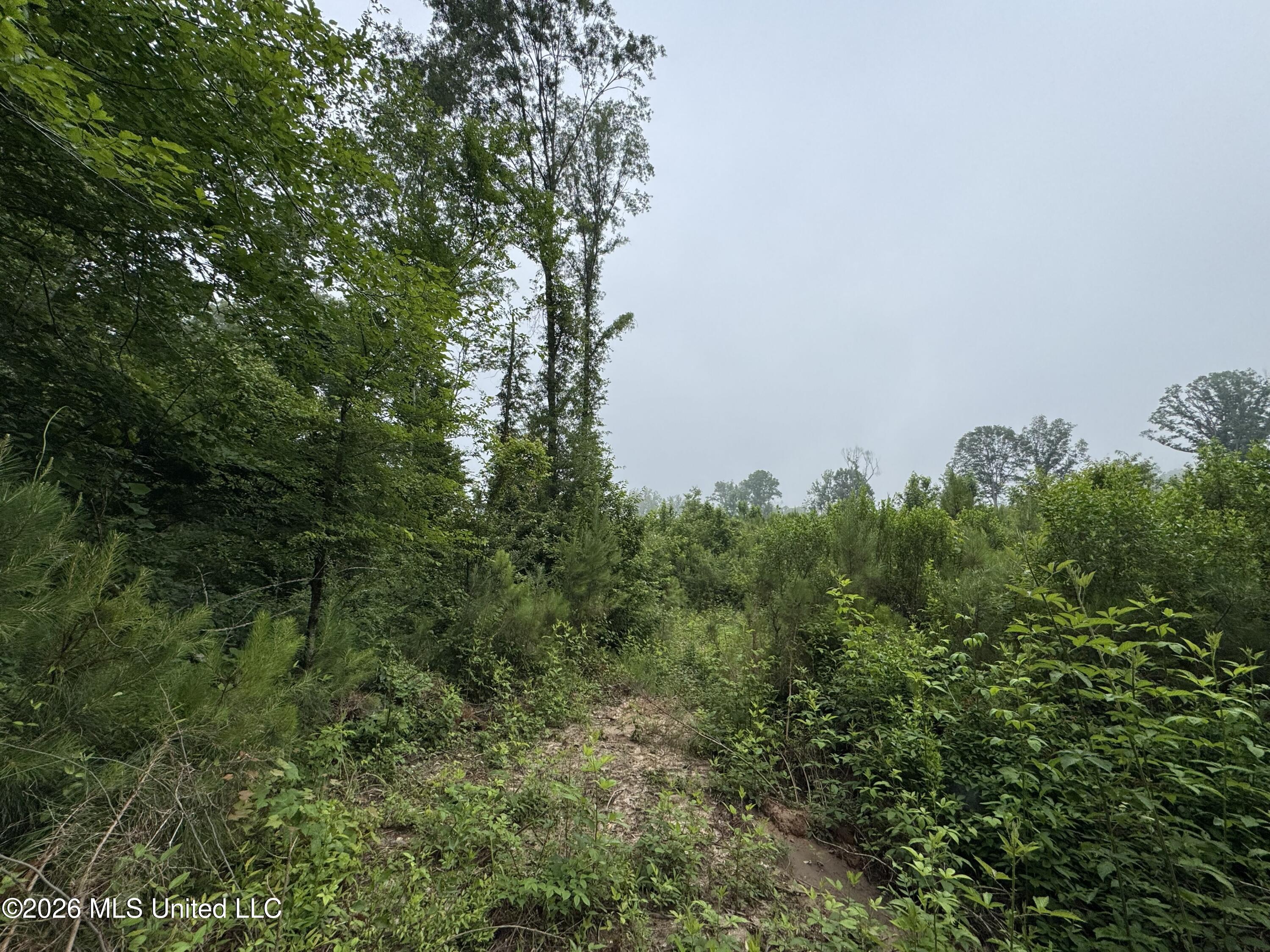 W Gallatin Street Property Photo 6