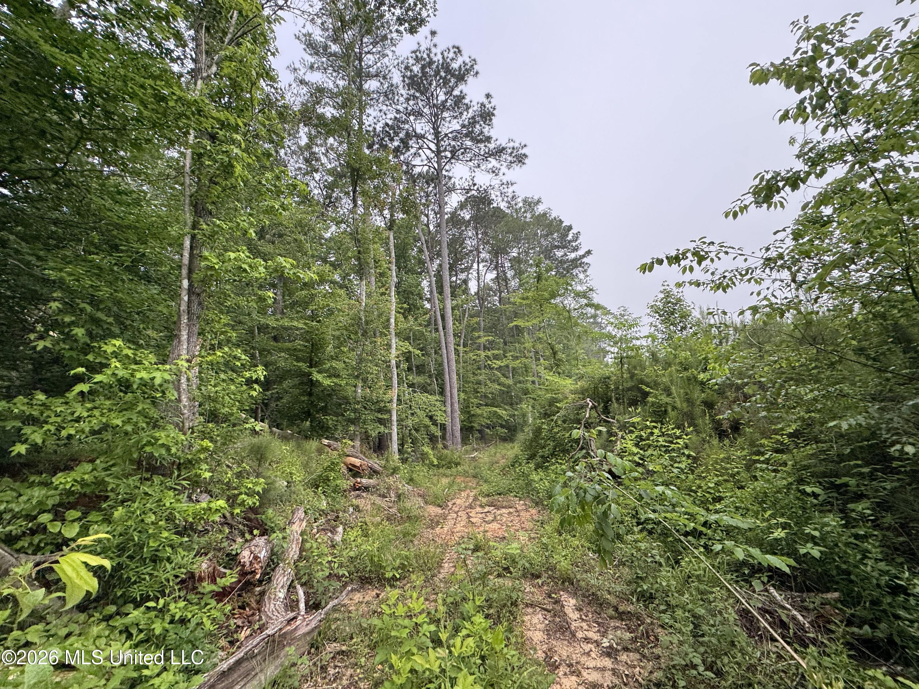 W Gallatin Street Property Photo 10