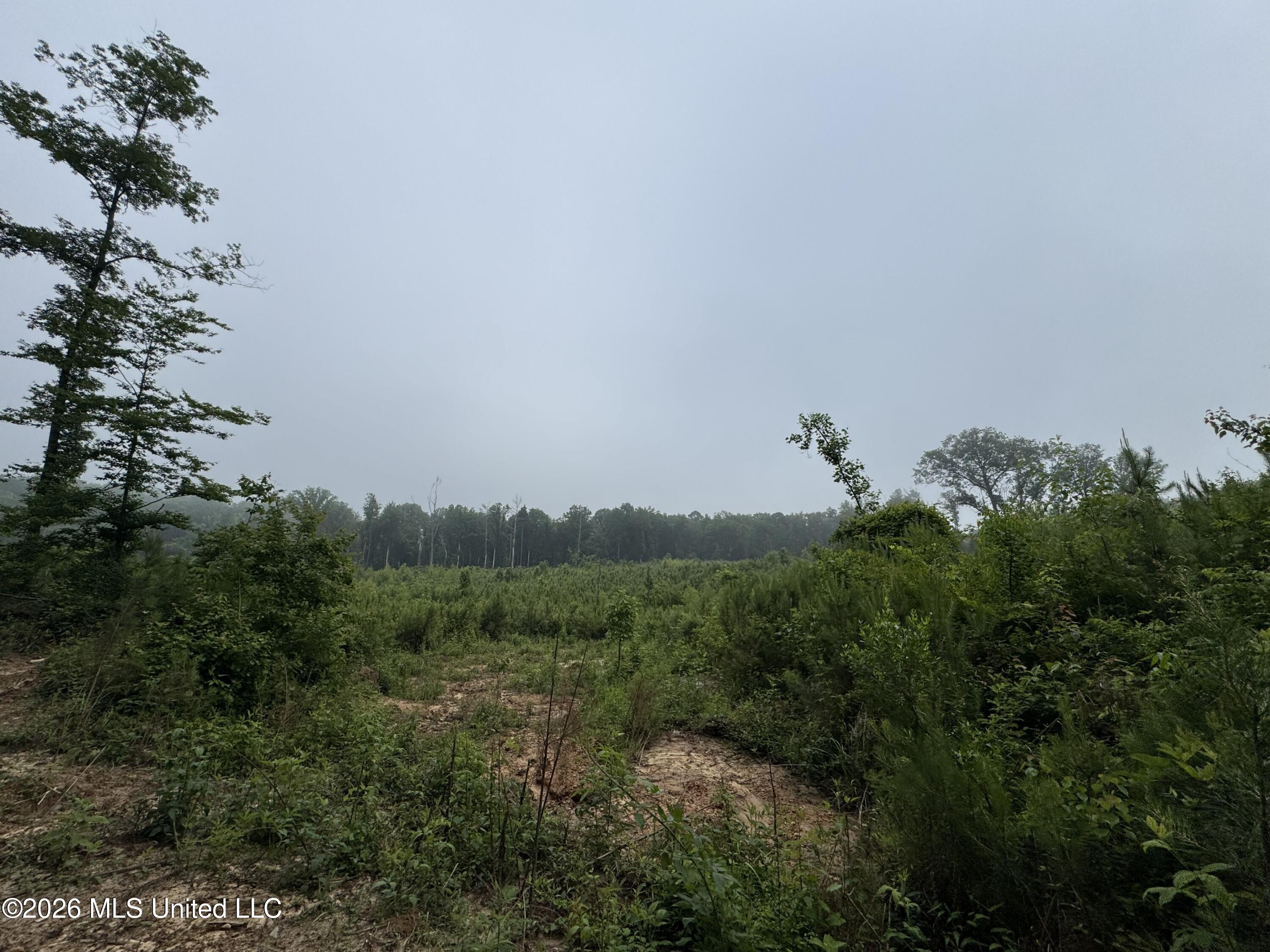 W Gallatin Street Property Photo 11