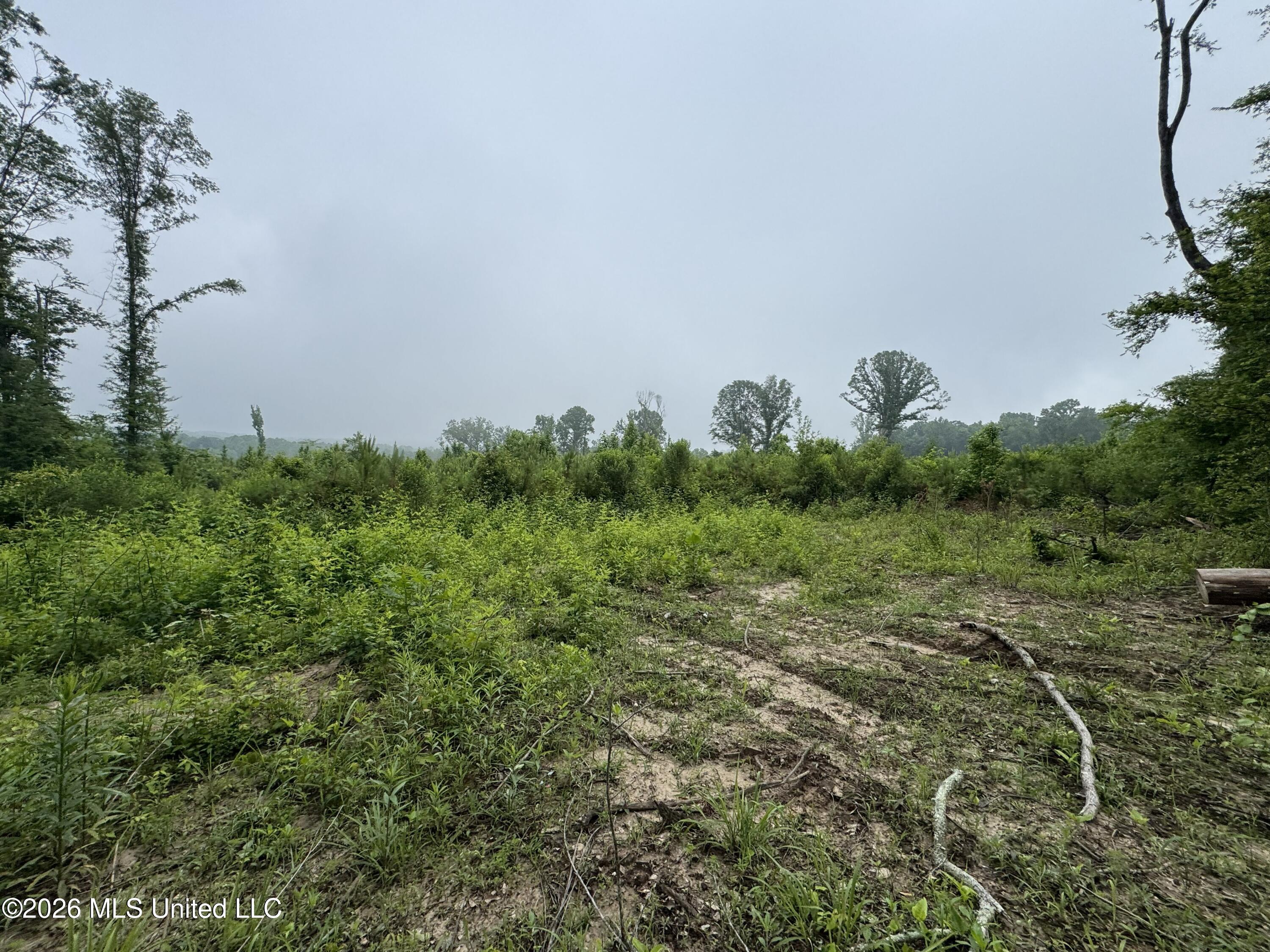 W Gallatin Street Property Photo 15