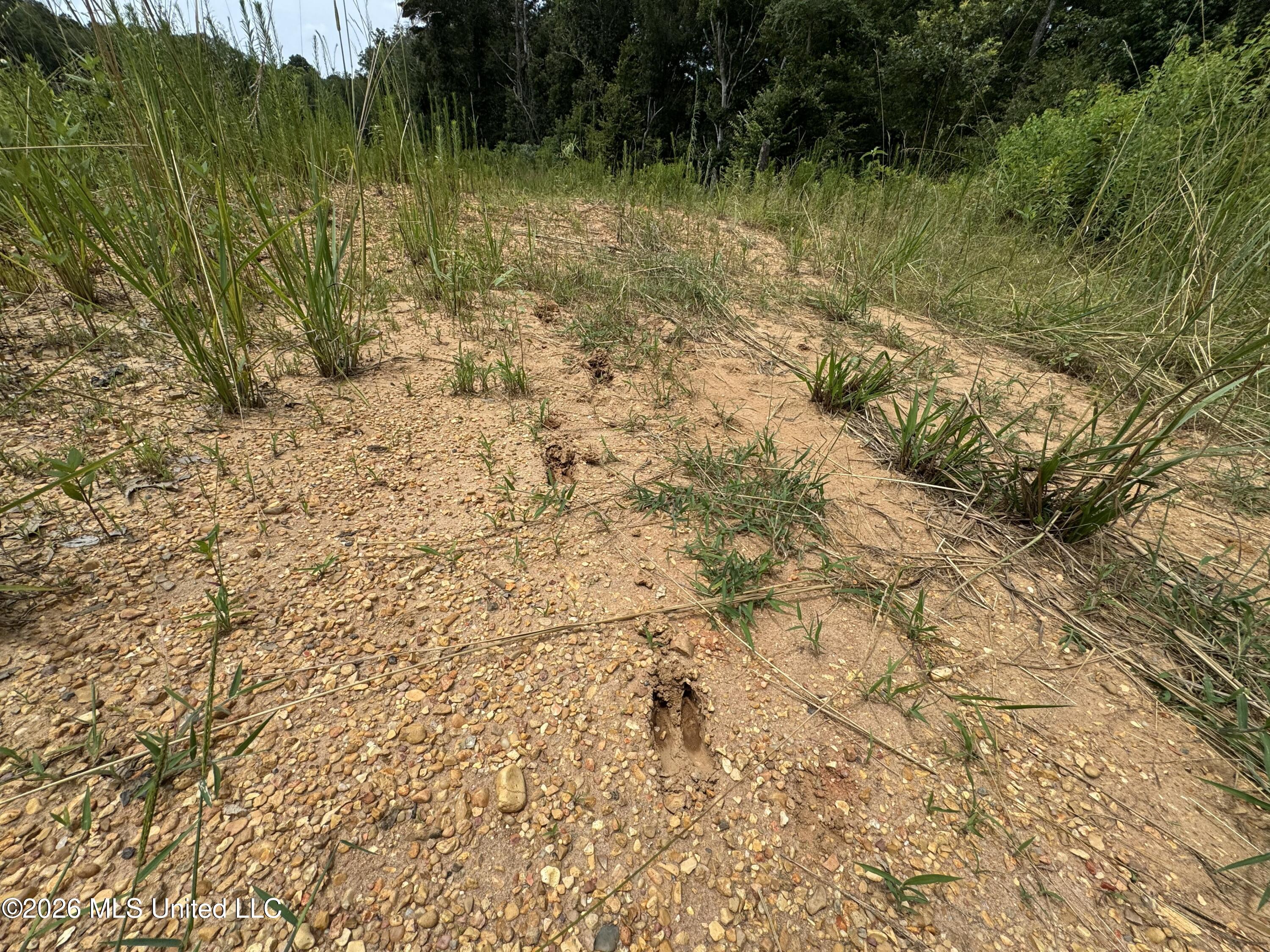W Gallatin Street Property Photo 22