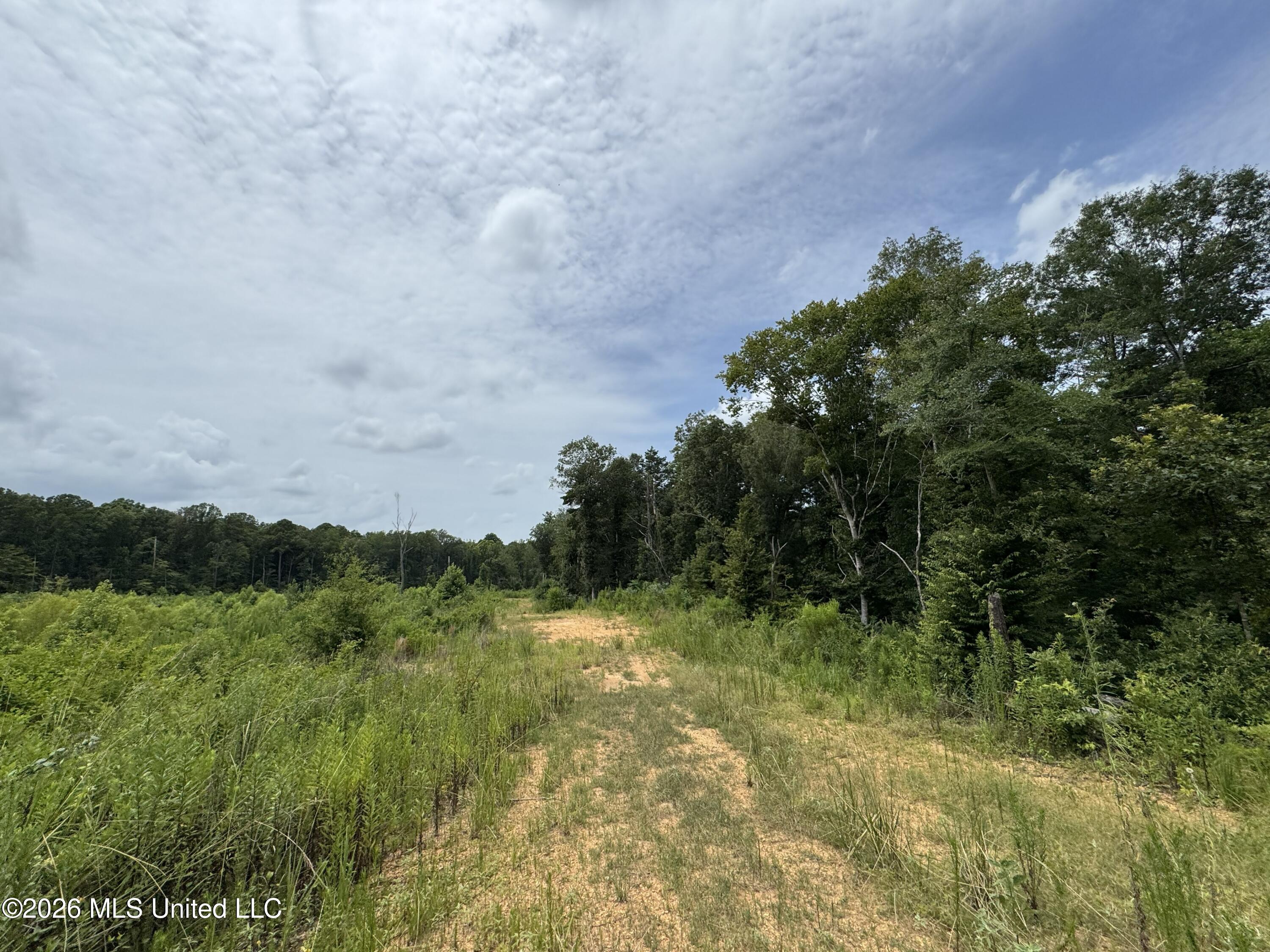 W Gallatin Street Property Photo 23