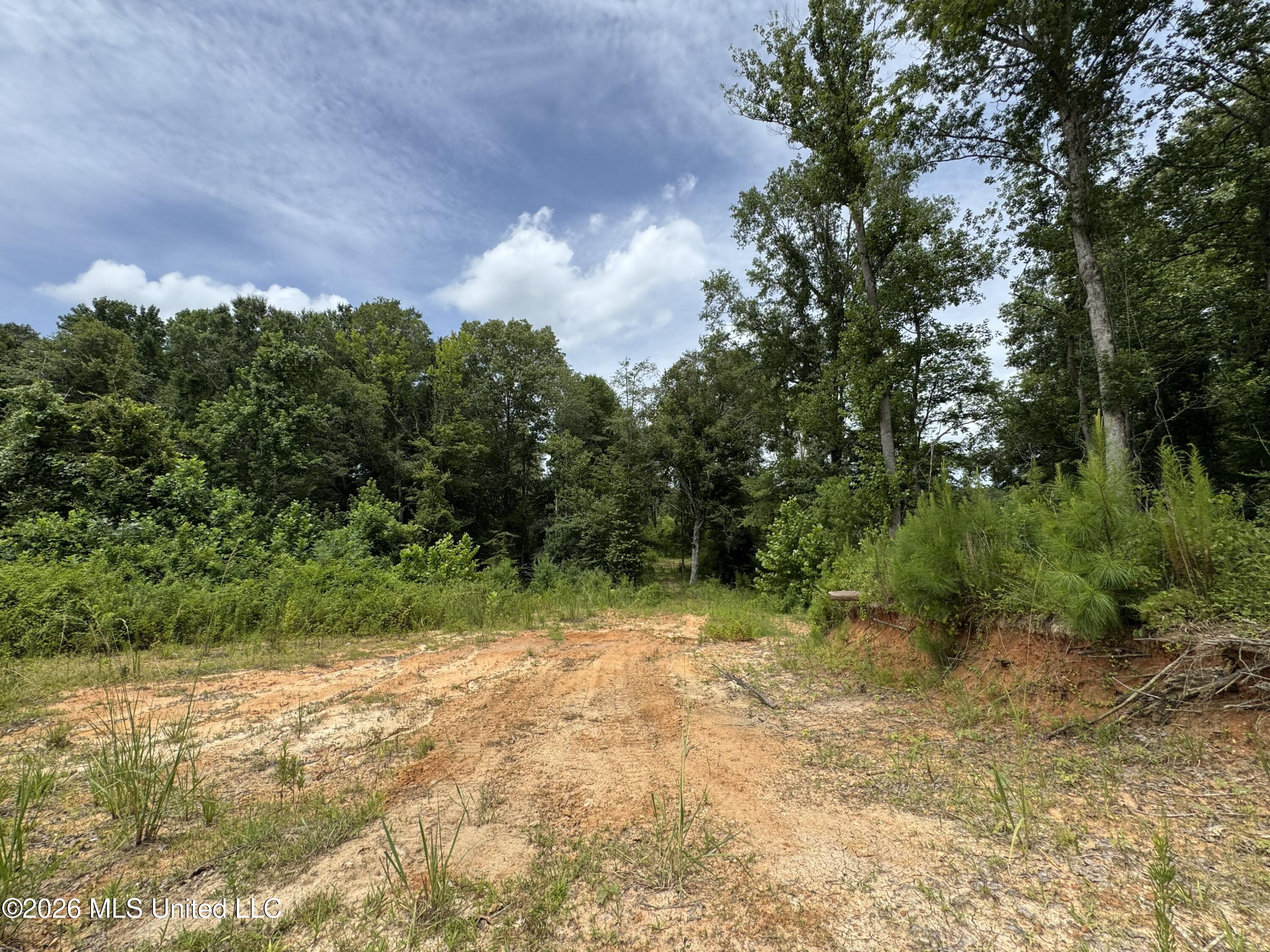W Gallatin Street Property Photo 24