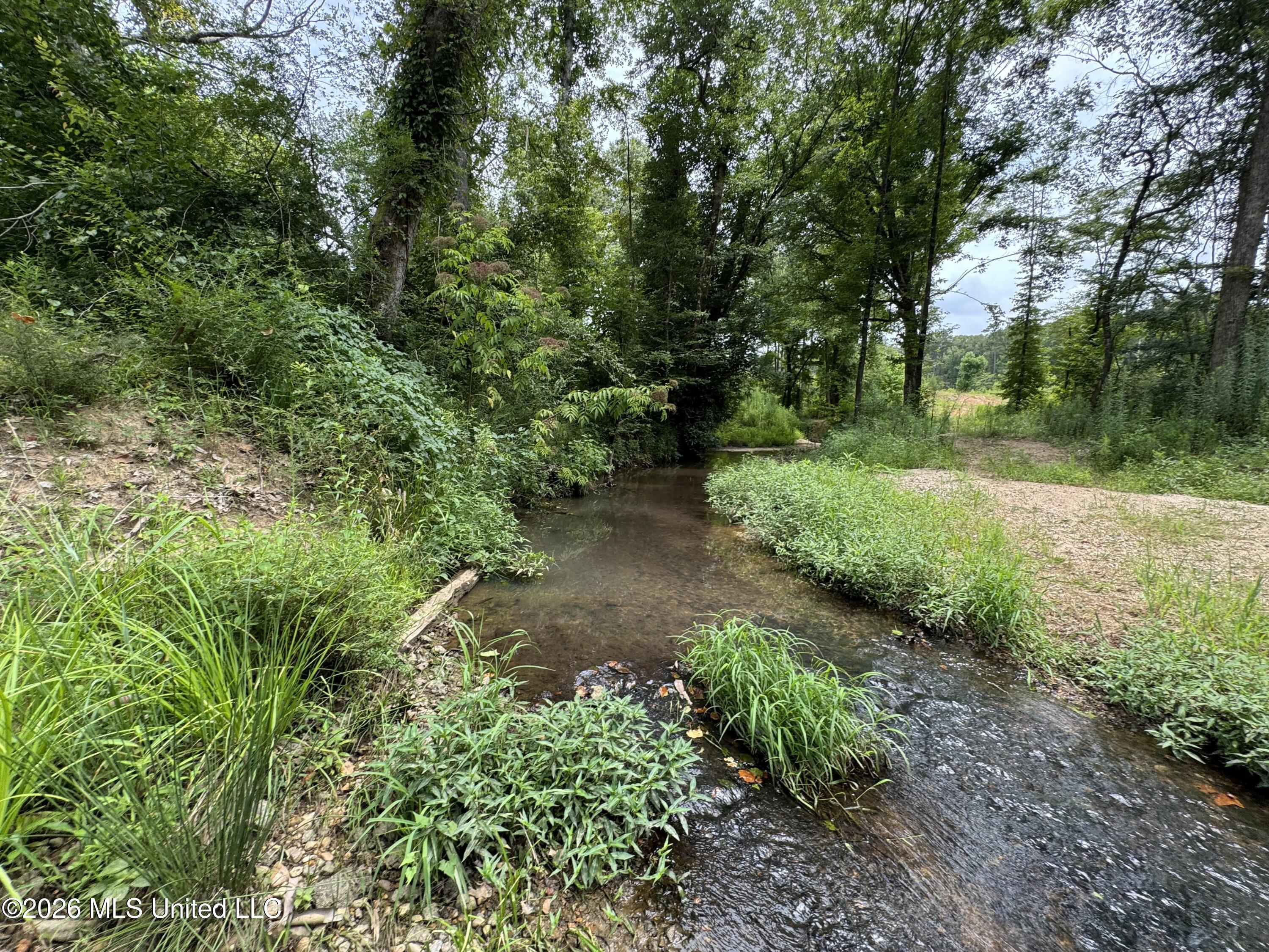 W Gallatin Street Property Photo 28