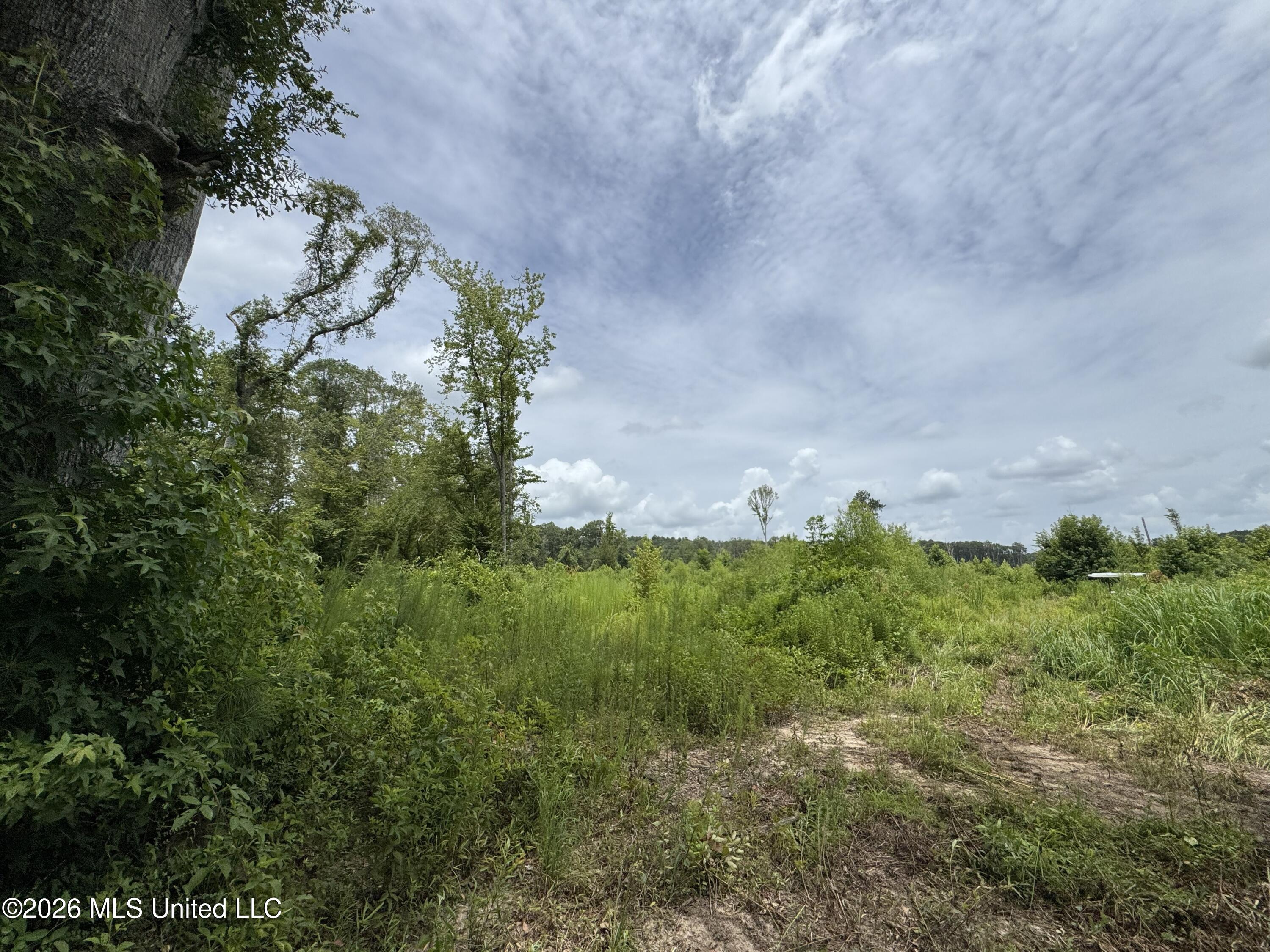 W Gallatin Street Property Photo 33
