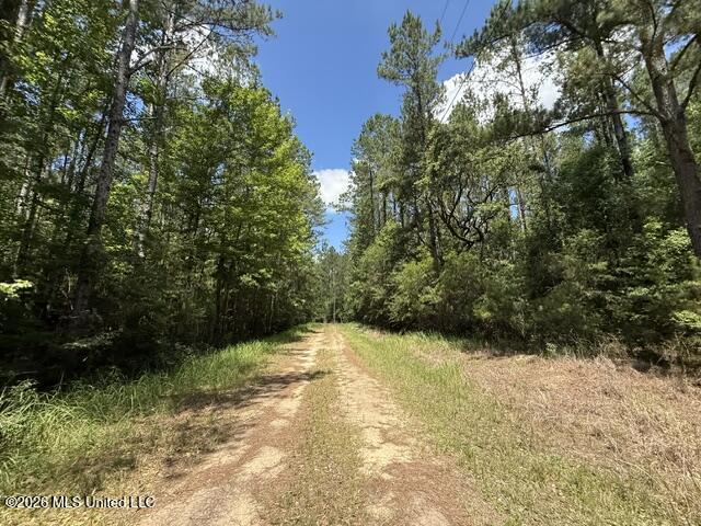 Elmer Hamilton Road Road Property Photo 1