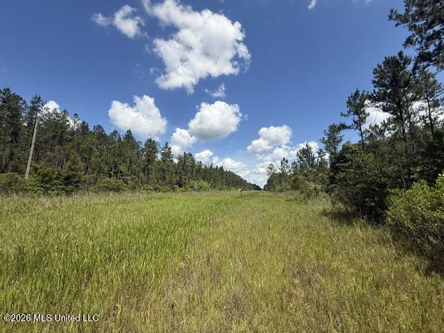 Elmer Hamilton Road Road Property Photo 2