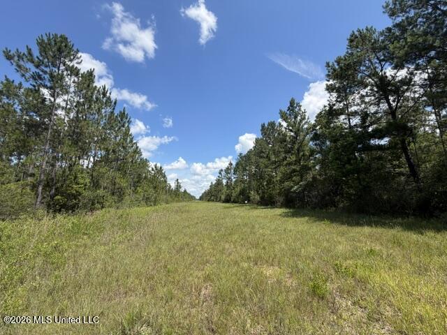 Elmer Hamilton Road Road Property Photo 4