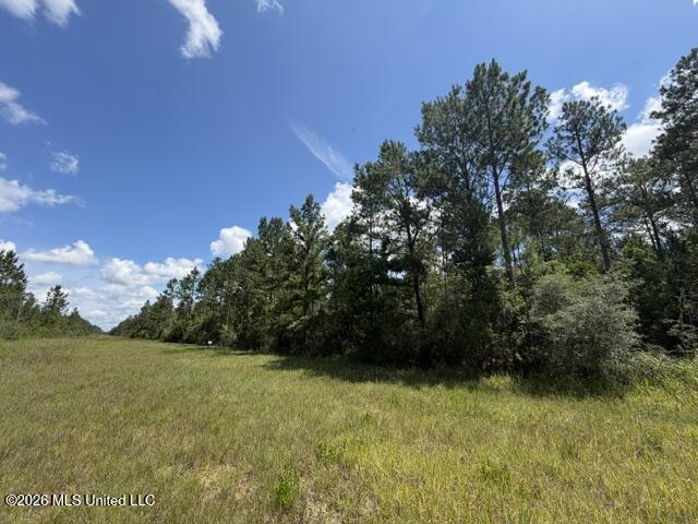 Elmer Hamilton Road Road Property Photo 5