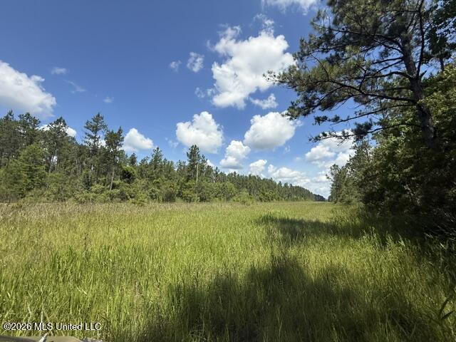Elmer Hamilton Road Road Property Photo 6