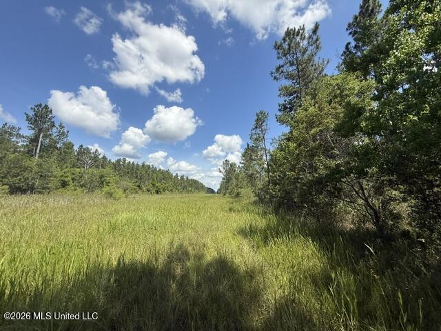 Elmer Hamilton Road Road Property Photo 7