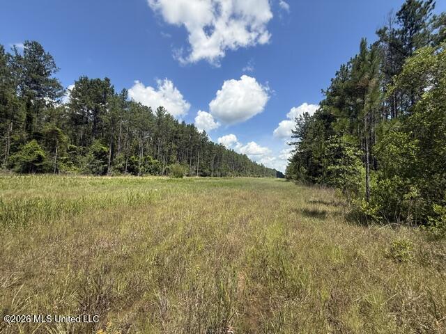 Elmer Hamilton Road Road Property Photo 8
