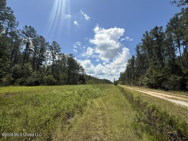 Elmer Hamilton Road Road Property Photo 10