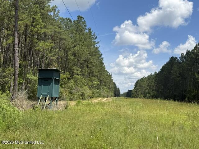 Elmer Hamilton Road Road Property Photo 11