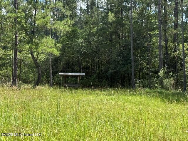 Elmer Hamilton Road Road Property Photo 13