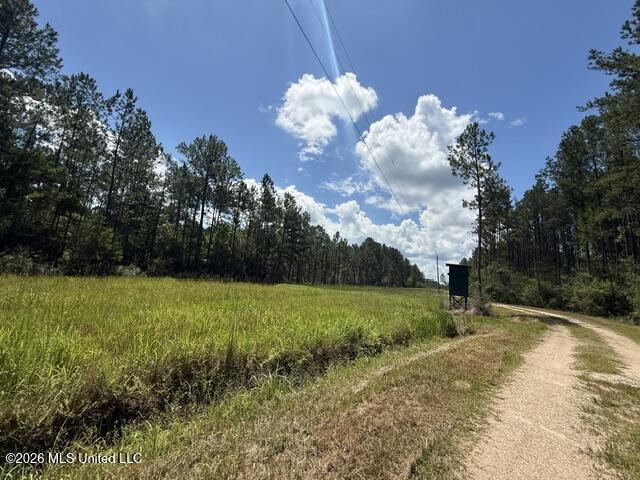Elmer Hamilton Road Road Property Photo 14