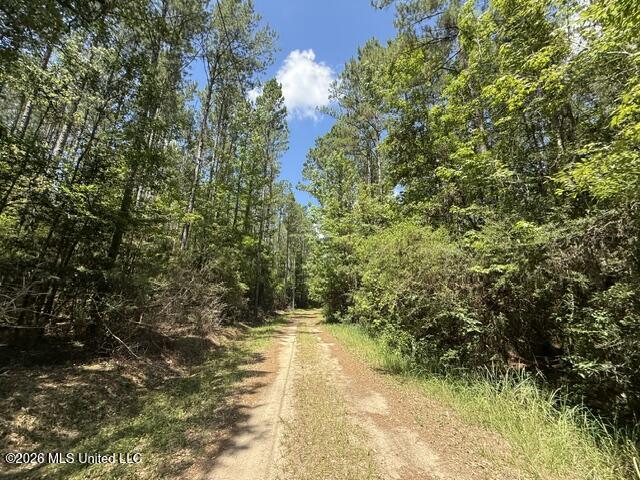 Elmer Hamilton Road Road Property Photo 16