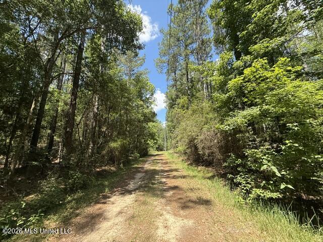 Elmer Hamilton Road Road Property Photo 17