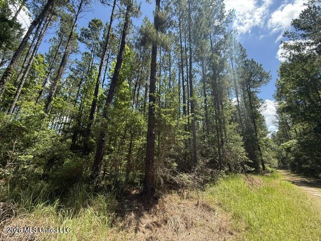 Elmer Hamilton Road Road Property Photo 18