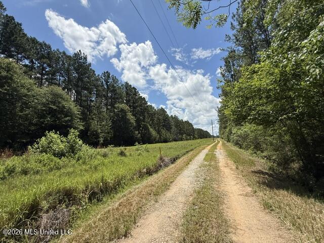 Elmer Hamilton Road Road Property Photo 19