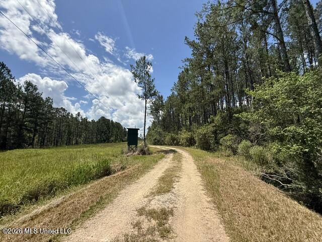 Elmer Hamilton Road Road Property Photo 20