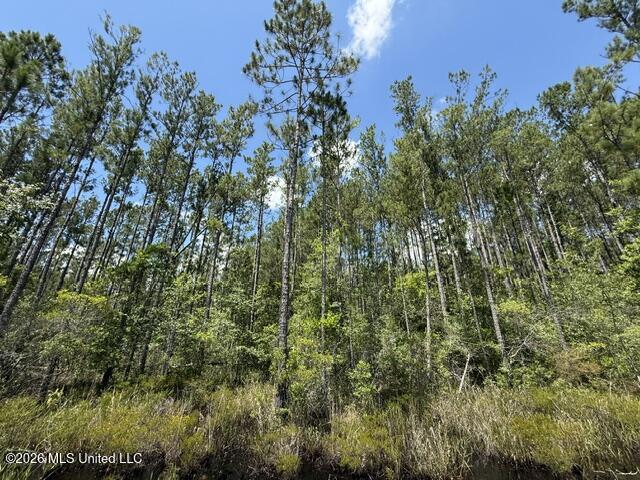 Elmer Hamilton Road Road Property Photo 21