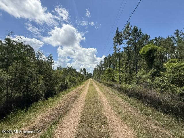 Elmer Hamilton Road Road Property Photo 22