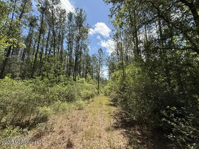 Elmer Hamilton Road Road Property Photo 26