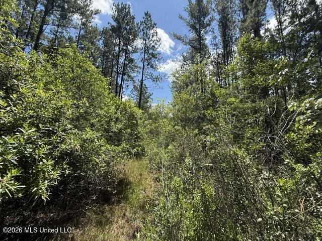 Elmer Hamilton Road Road Property Photo 27