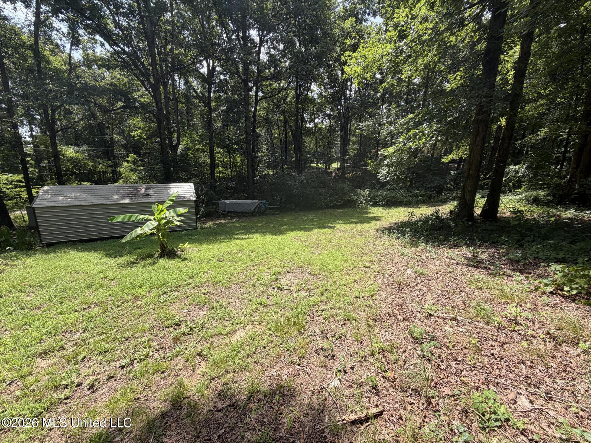 91 Hillside Drive Property Photo 5
