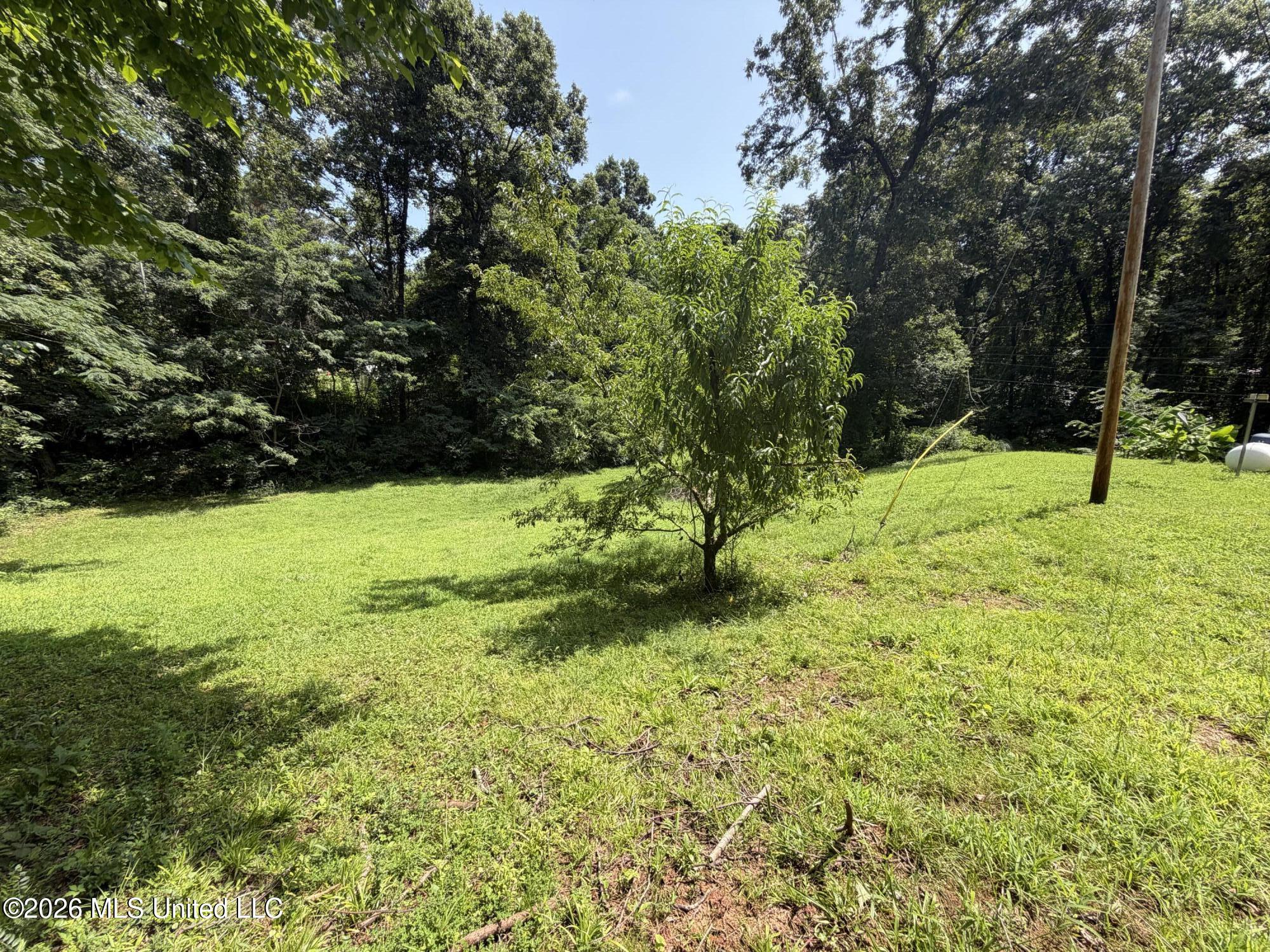 91 Hillside Drive Property Photo 9