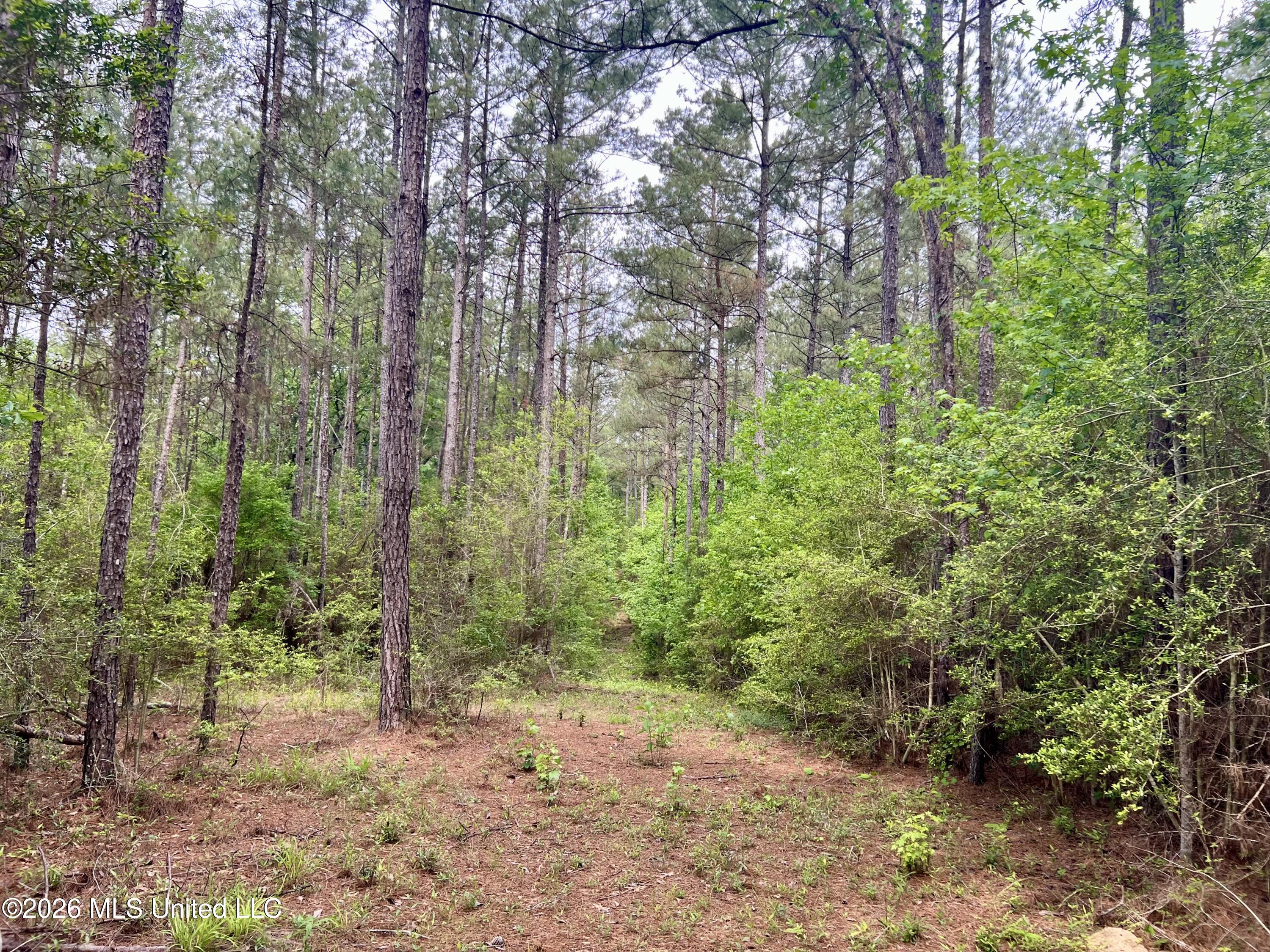 Ne Highway 44 Property Photo 3