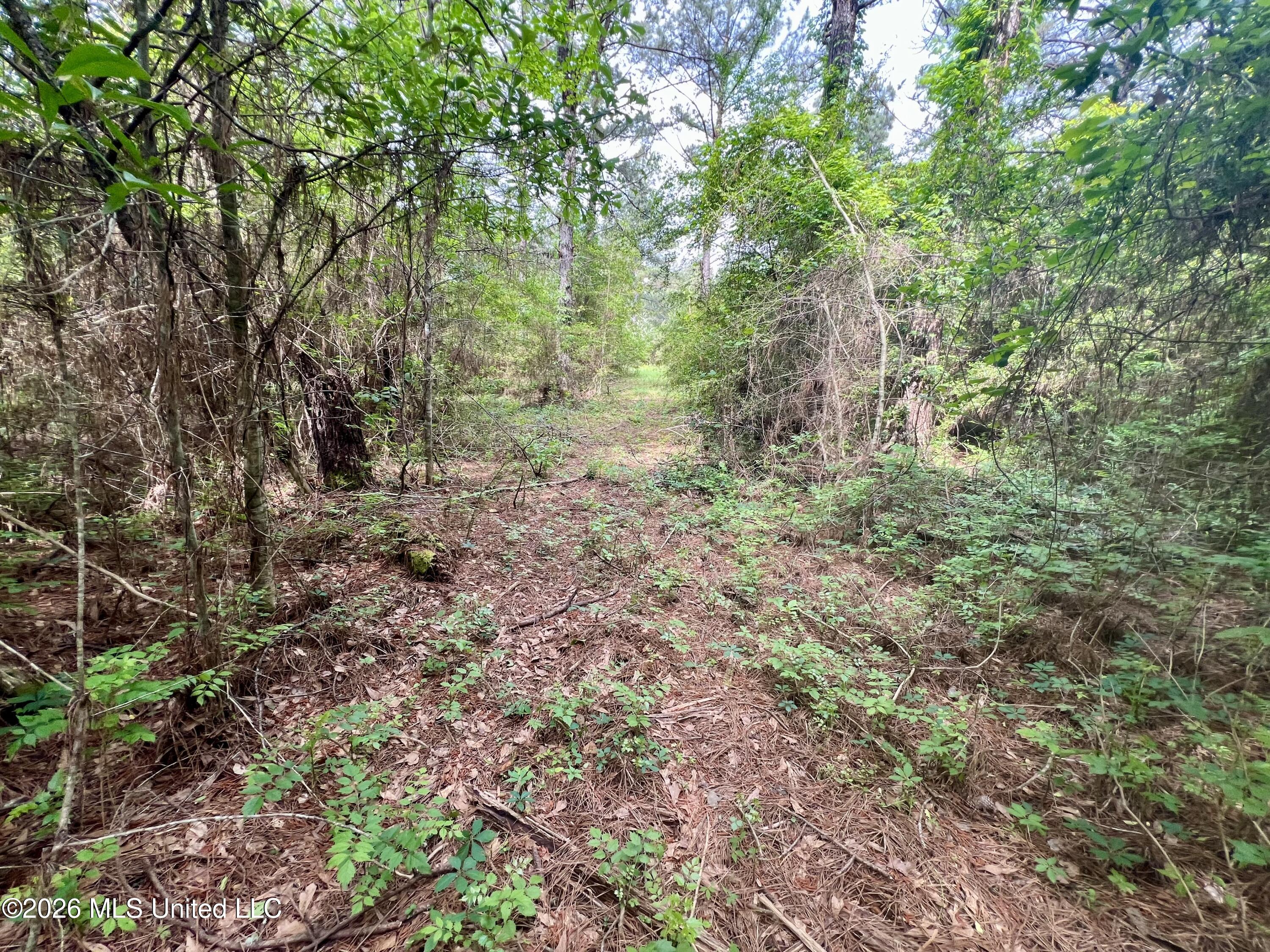 Ne Highway 44 Property Photo 5