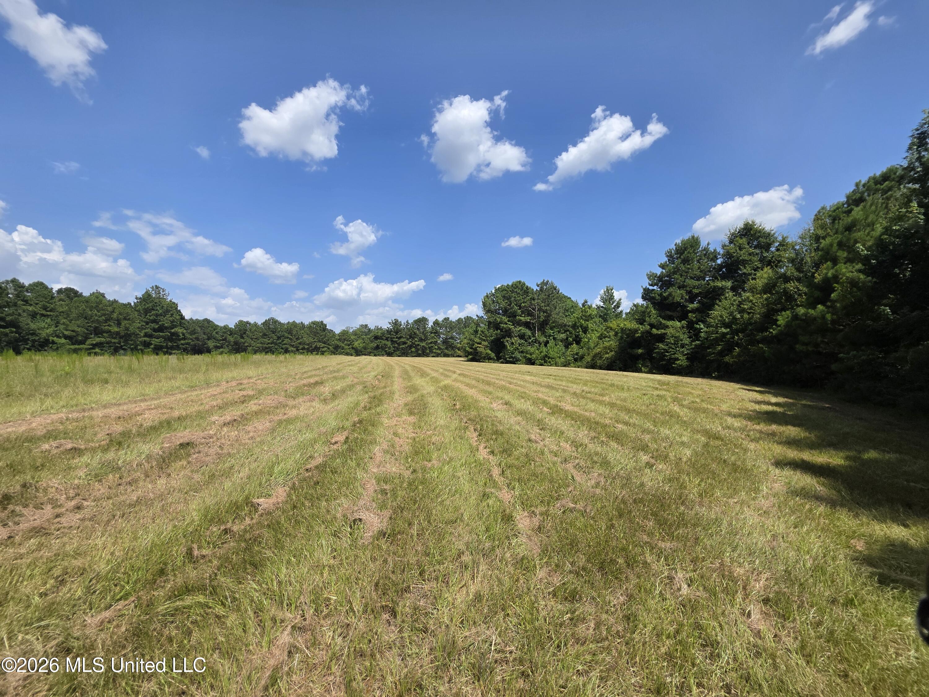 Mount Carmel Road Property Photo 1