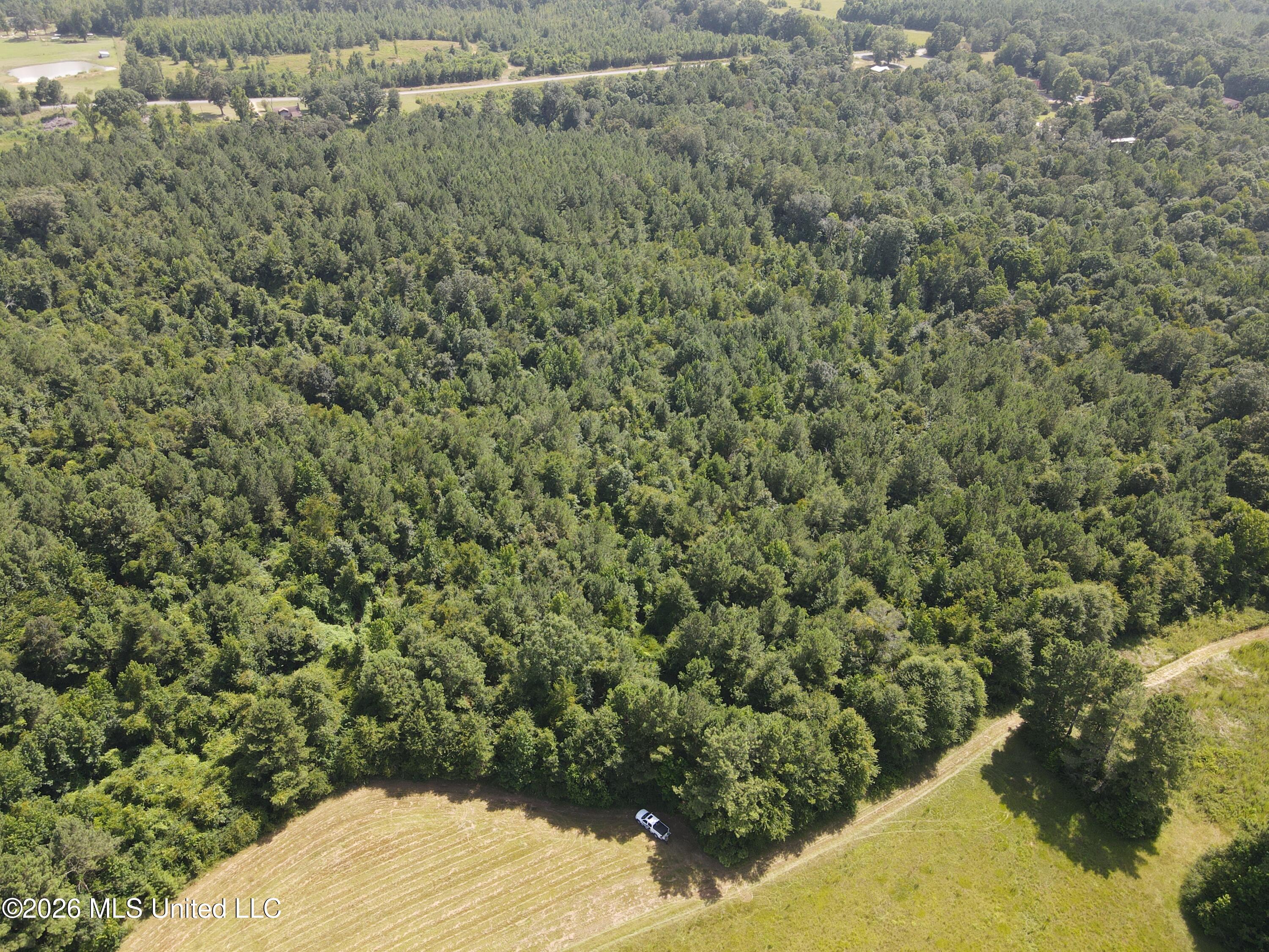 Mount Carmel Road Property Photo 7