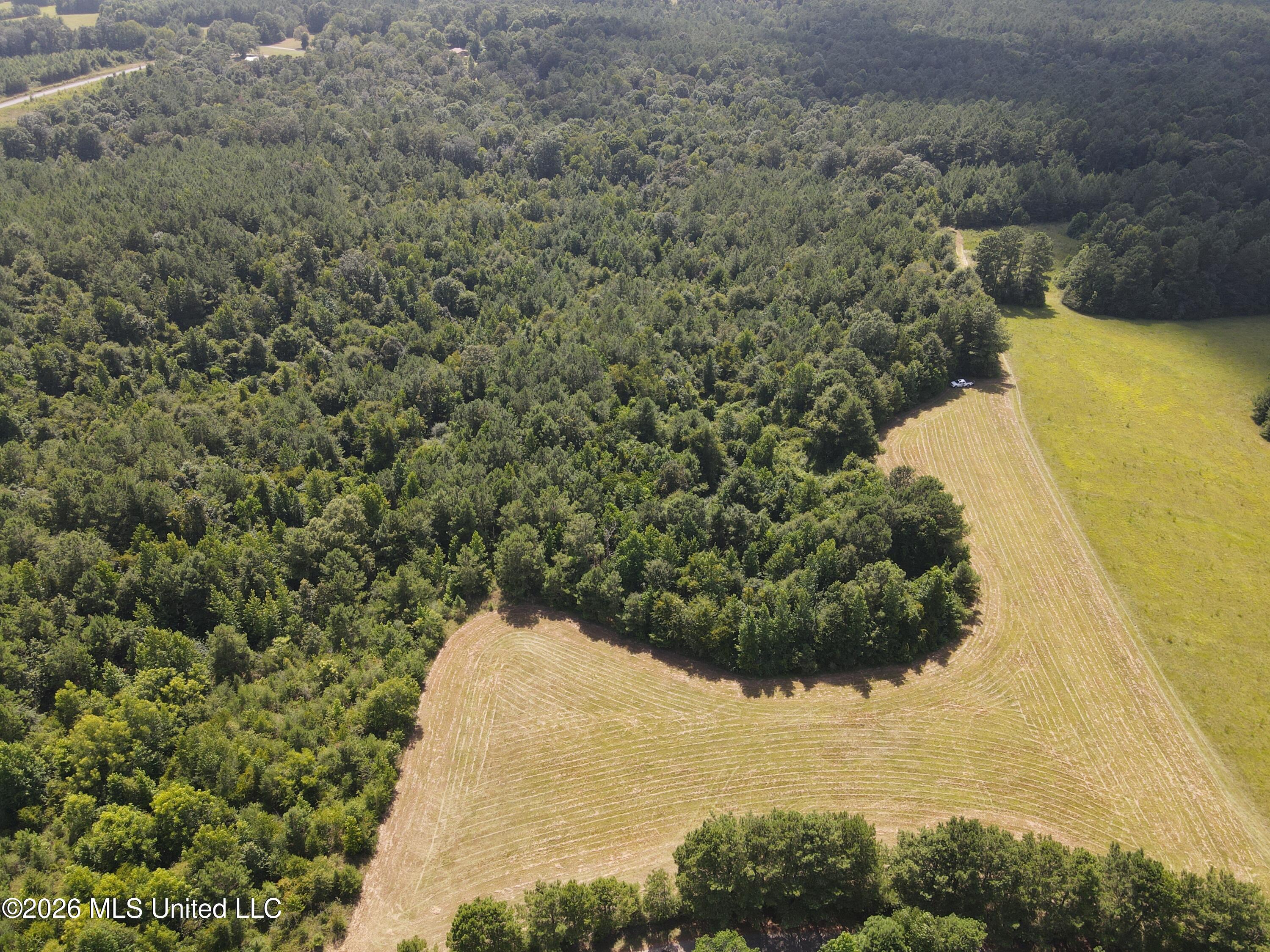 Mount Carmel Road Property Photo 11