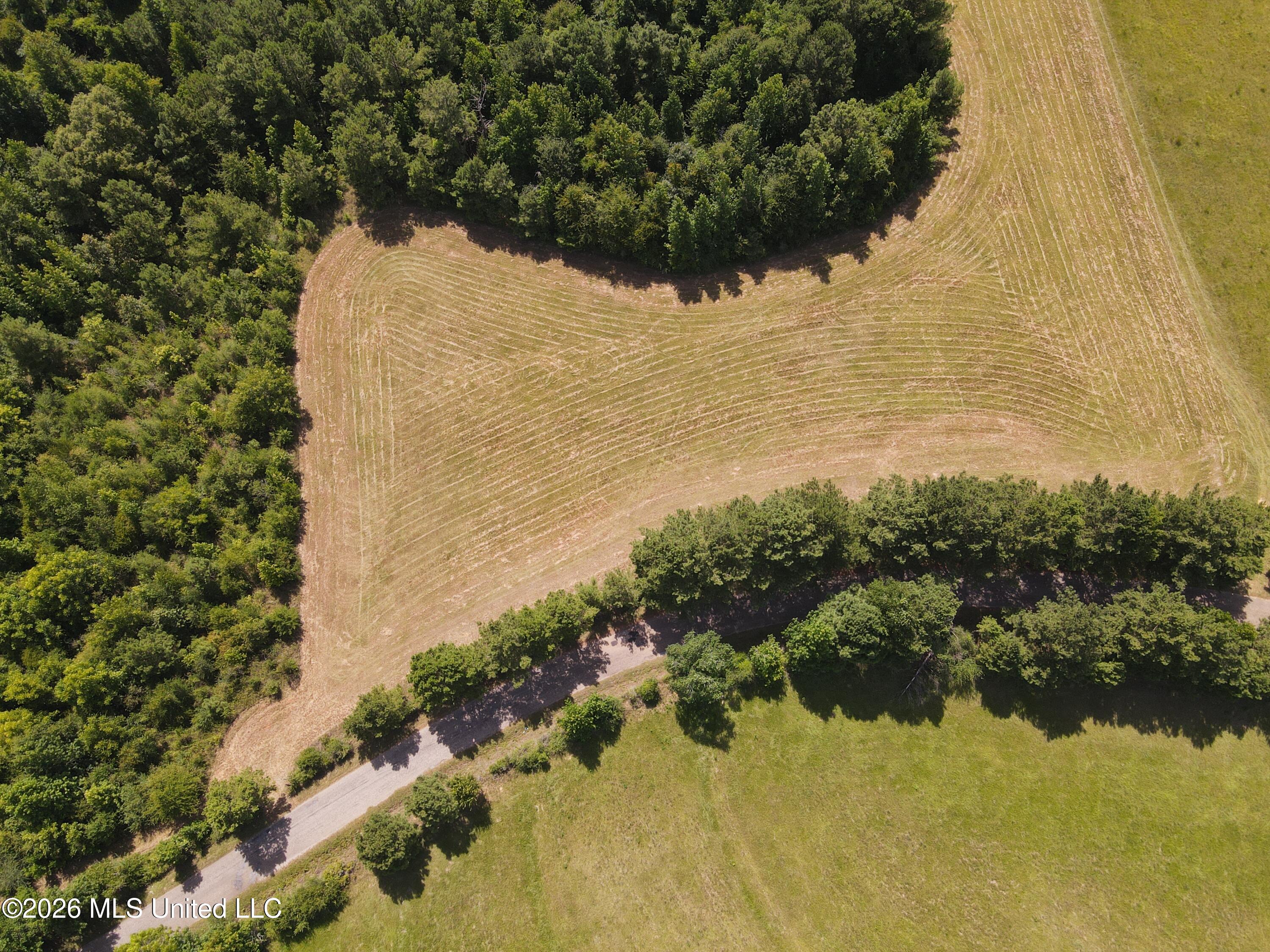 Mount Carmel Road Property Photo 12
