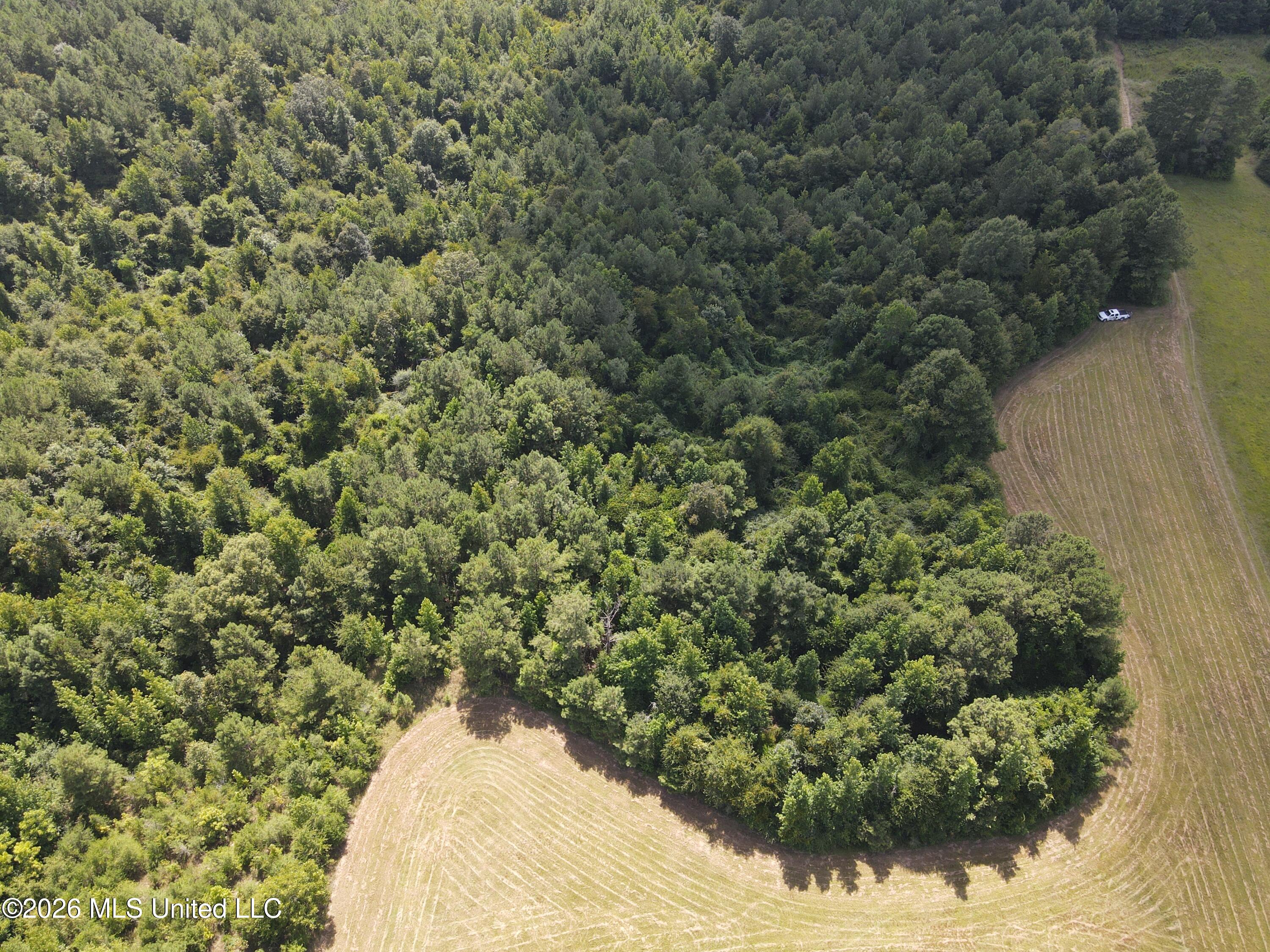 Mount Carmel Road Property Photo 13