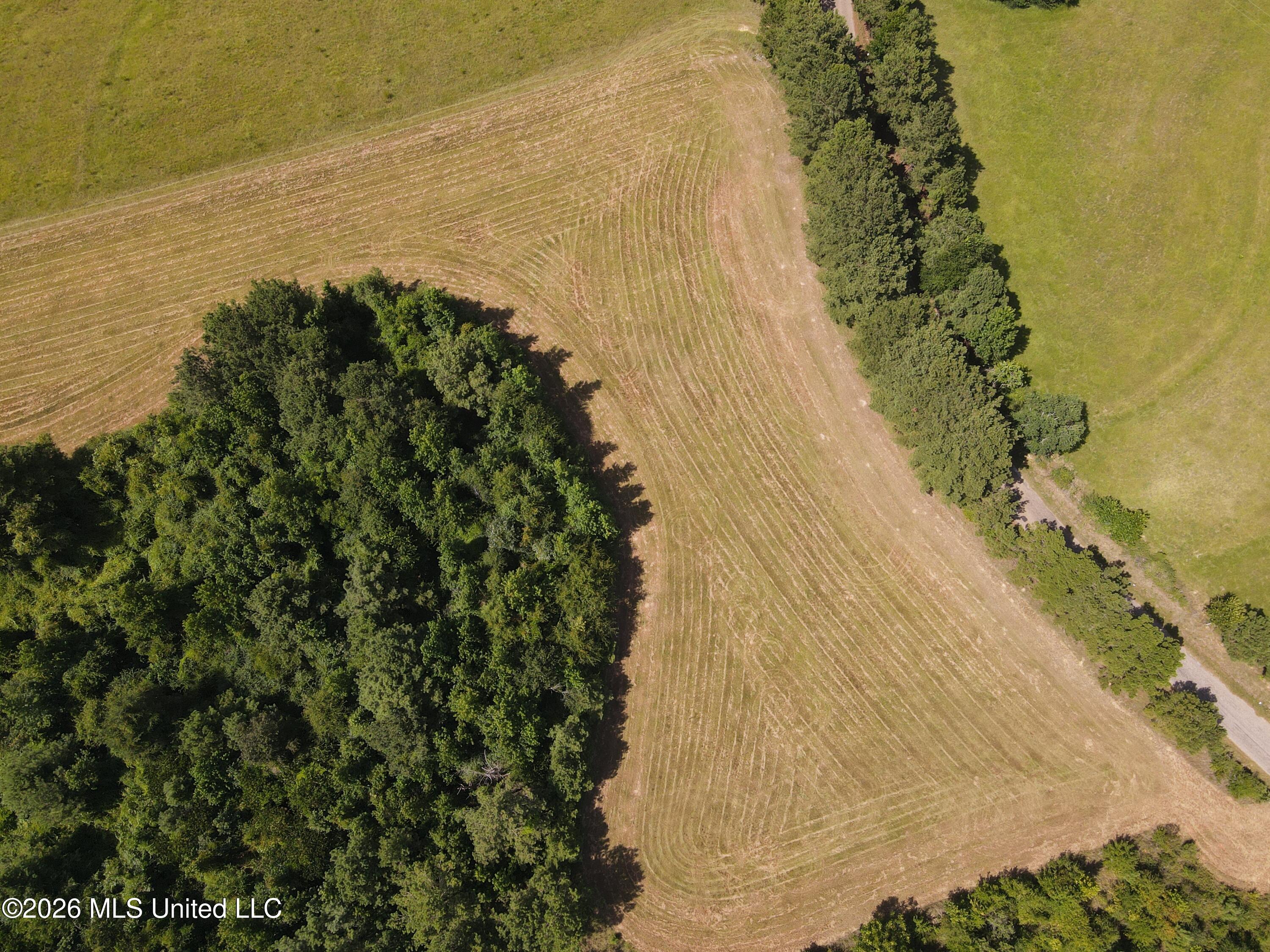 Mount Carmel Road Property Photo 18