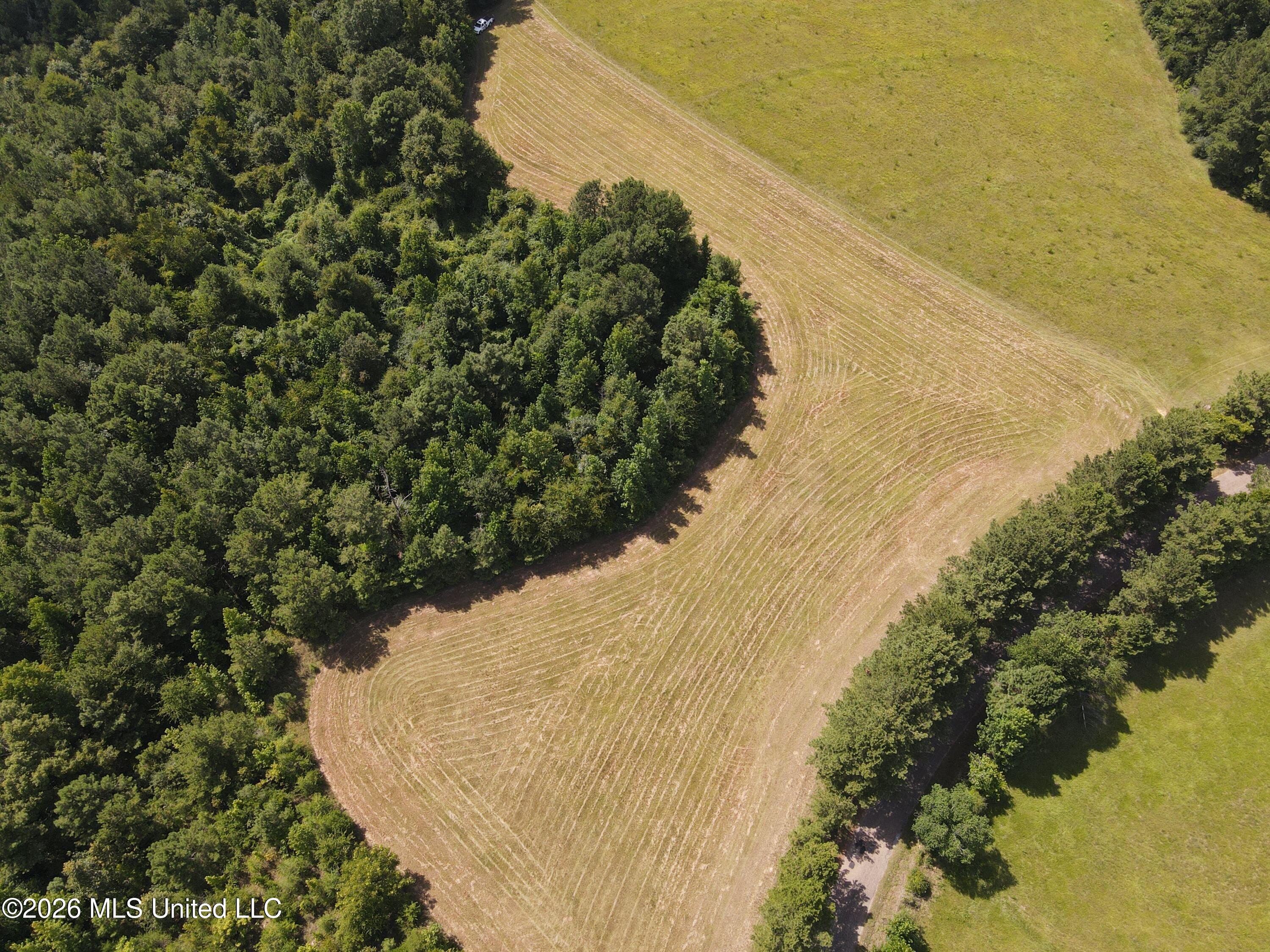 Mount Carmel Road Property Photo 20