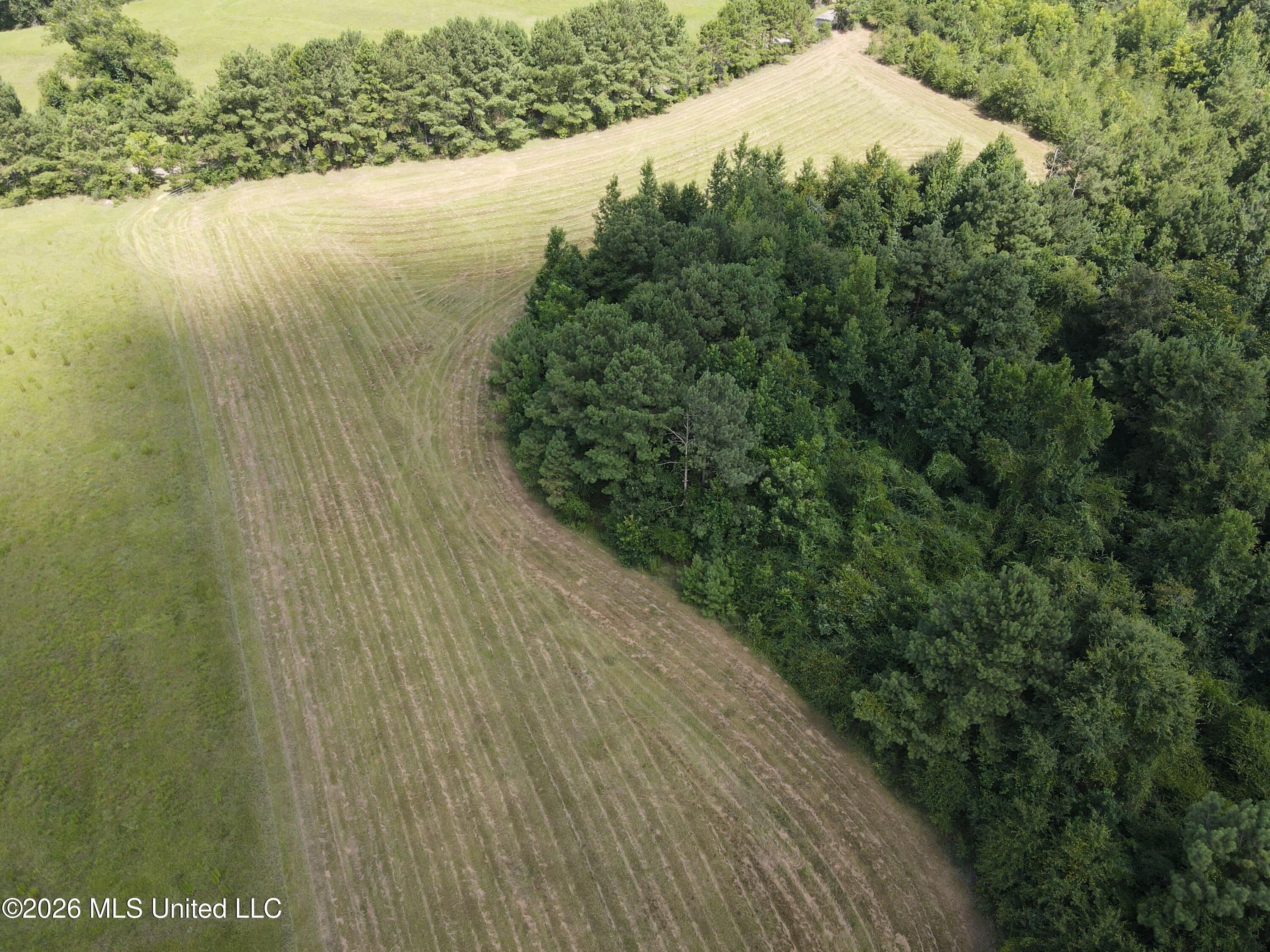 Mount Carmel Road Property Photo 21