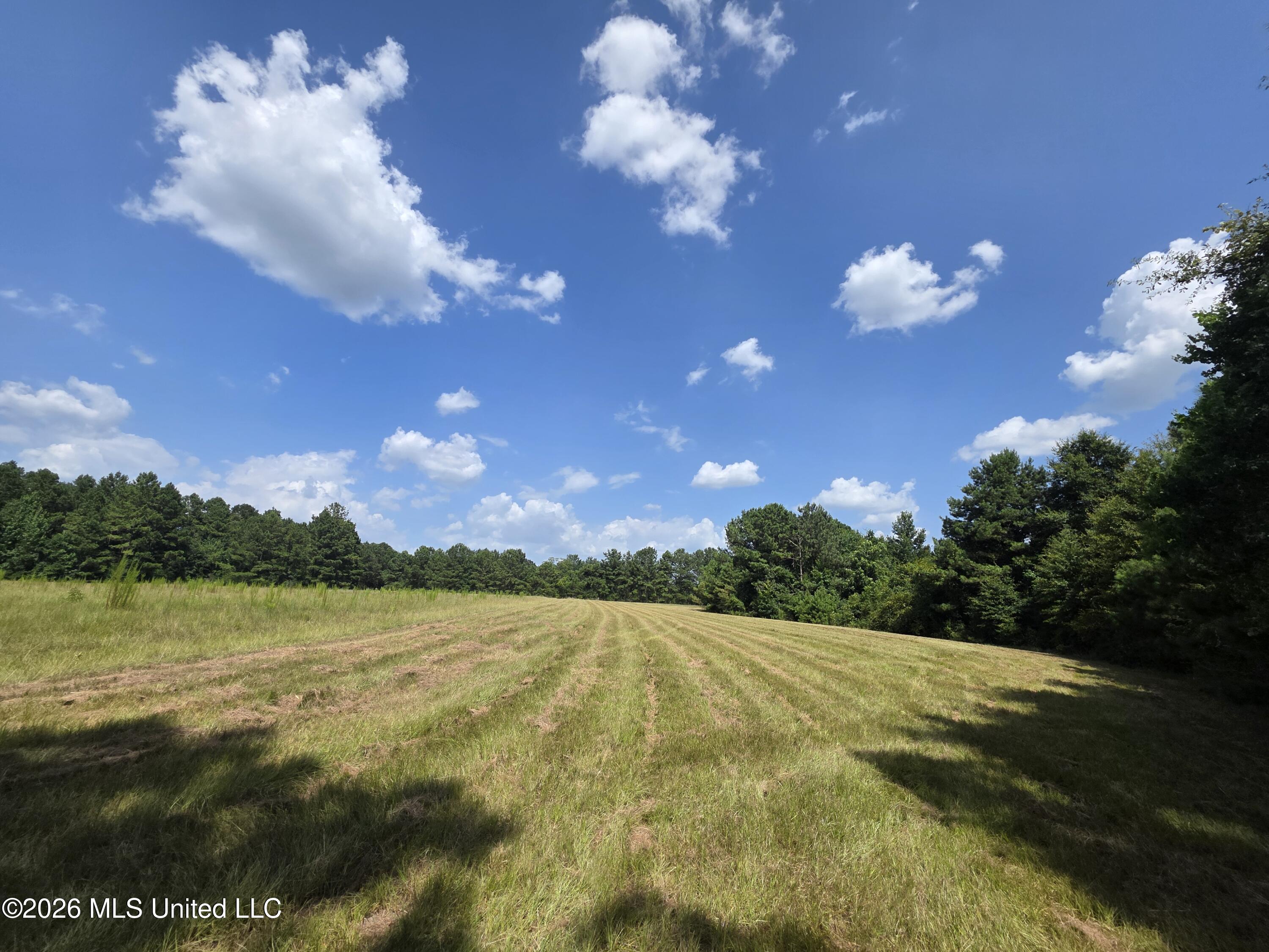Mount Carmel Road Property Photo 22