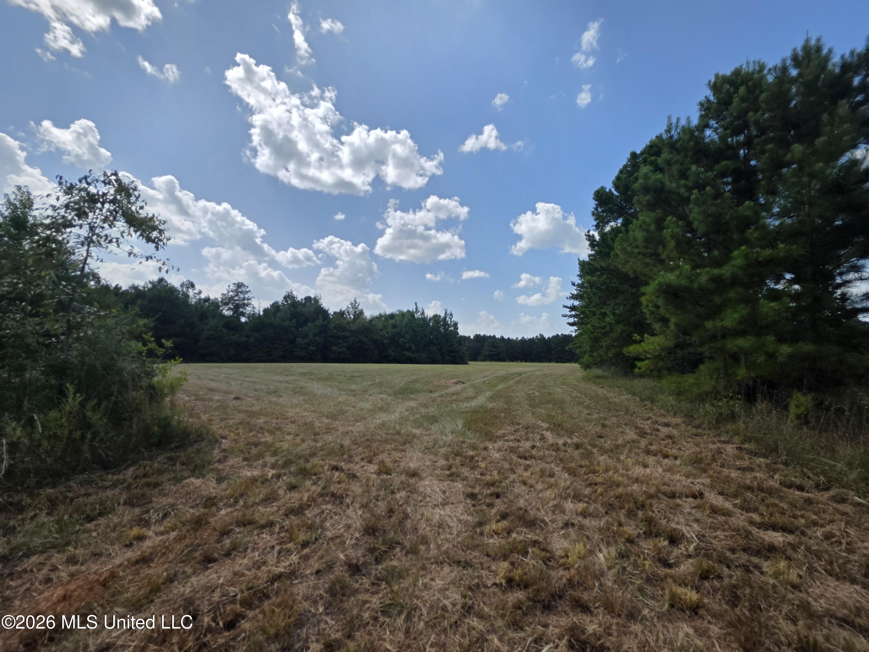 Mount Carmel Road Property Photo 23